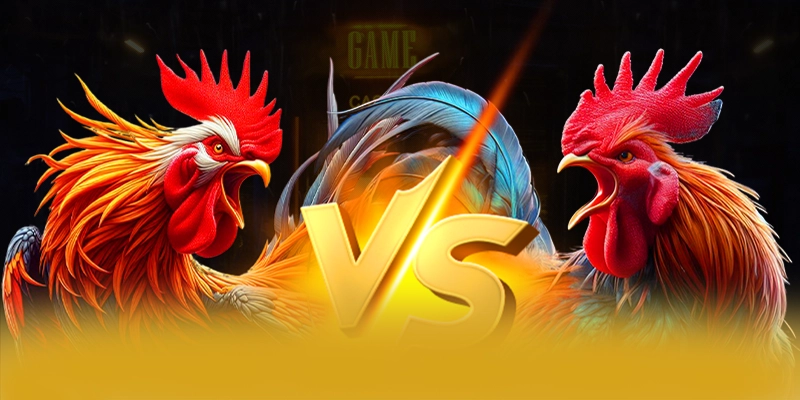 8XBET - Sảnh game tốc độ cao trên thị trường 8XBET - Sảnh game tốc độ cao trên thị trường