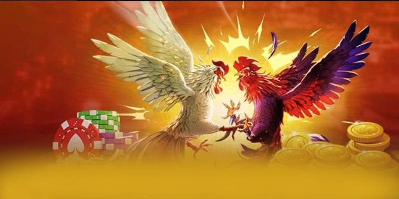 Giới thiệu GOOD88 - Trang game đẳng cấp tại Việt Nam